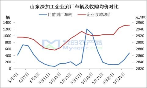 “玉米市場漲看山東，跌看廣東”這句老話如今還適用嗎？