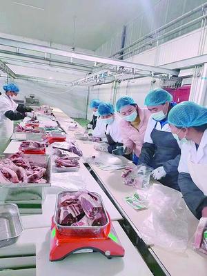滕欣妤 車間里的堅守與指導